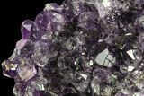 Purple Amethyst Cluster - Uruguay #66750-2